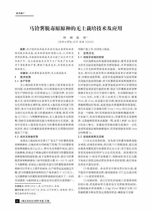 马铃薯脱毒原原种的无土栽培技术及应用