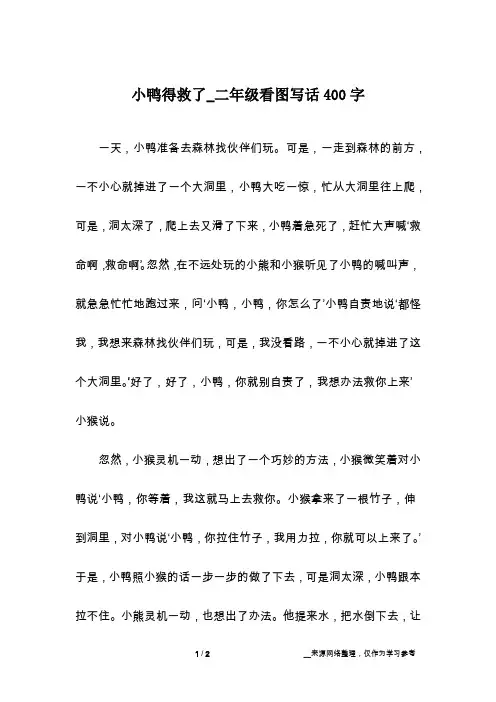 小鸭得救了_二年级看图写话400字