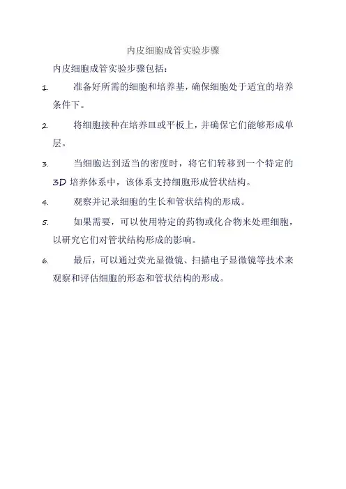 内皮细胞成管实验步骤