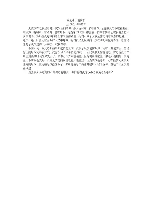 我是小小消防员