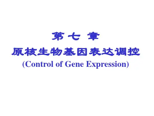 第七、八章  原核生物、真核生物基因的表达调控