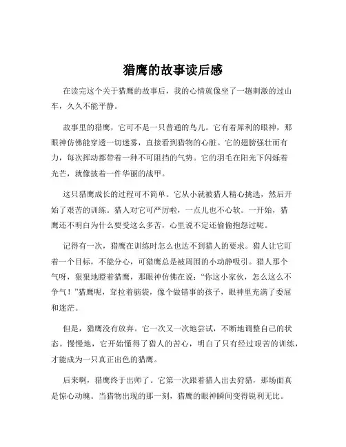 猎鹰的故事读后感