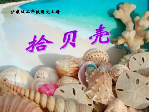 二年级上册拾贝壳沪教(课堂PPT)