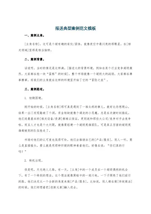 报送典型案例范文模板
