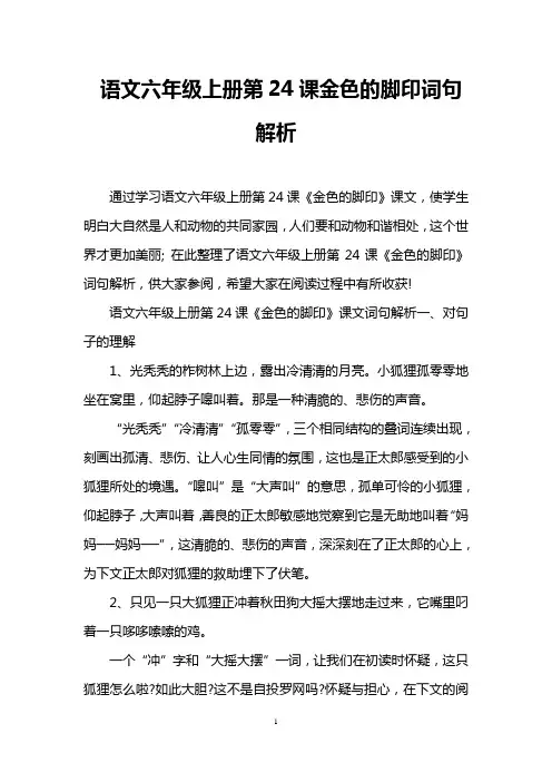 语文六年级上册第24课金色的脚印词句解析