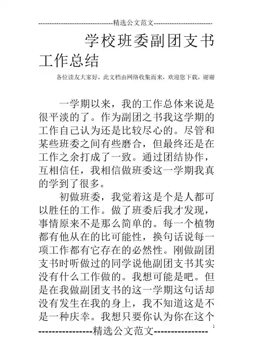 学校班委副团支书工作总结