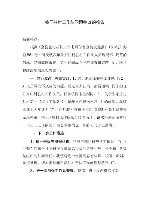 关于驻村工作队问题整改的报告