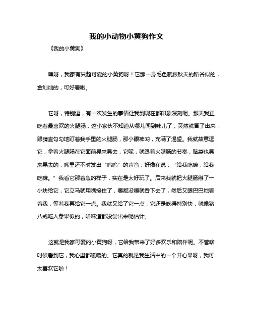 我的小动物小黄狗作文