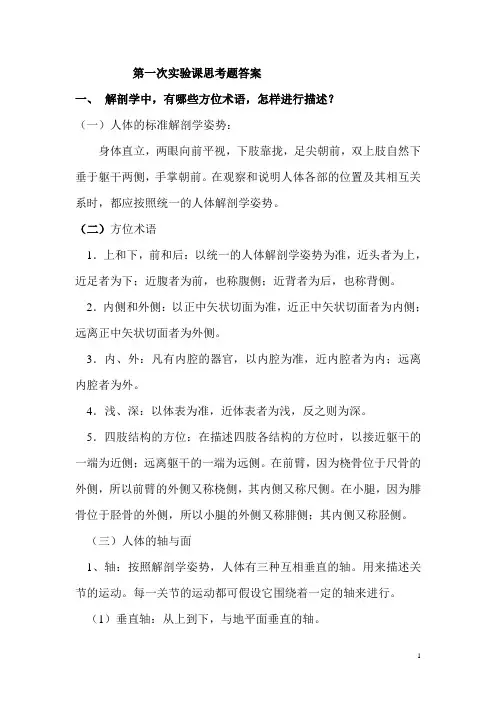 系统解剖学实验课重点