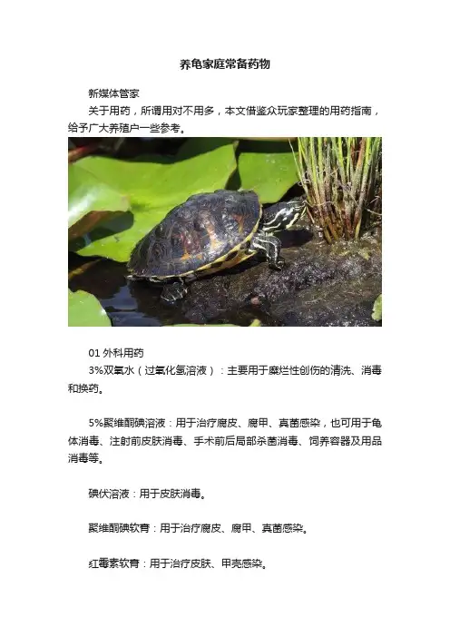 养龟家庭常备药物