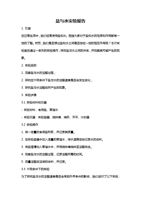 盐与水实验报告