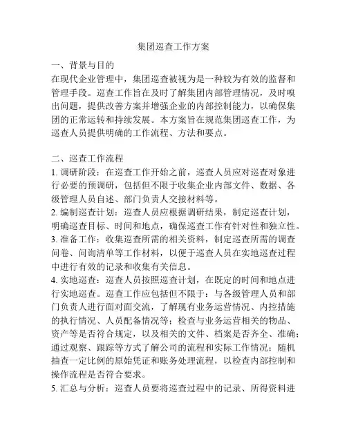 集团巡查工作方案