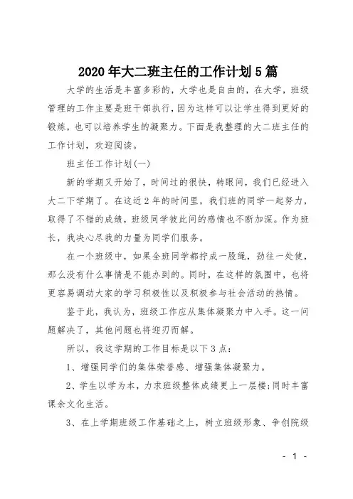2020年大二班主任的工作计划
