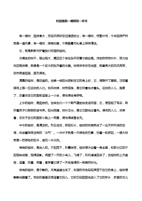 校园里的一棵树初一作文