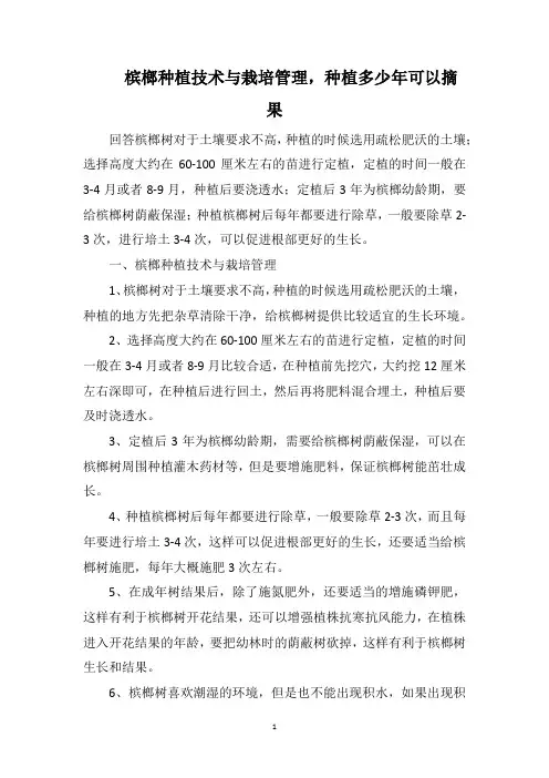 槟榔种植技术与栽培管理,种植多少年可以摘果