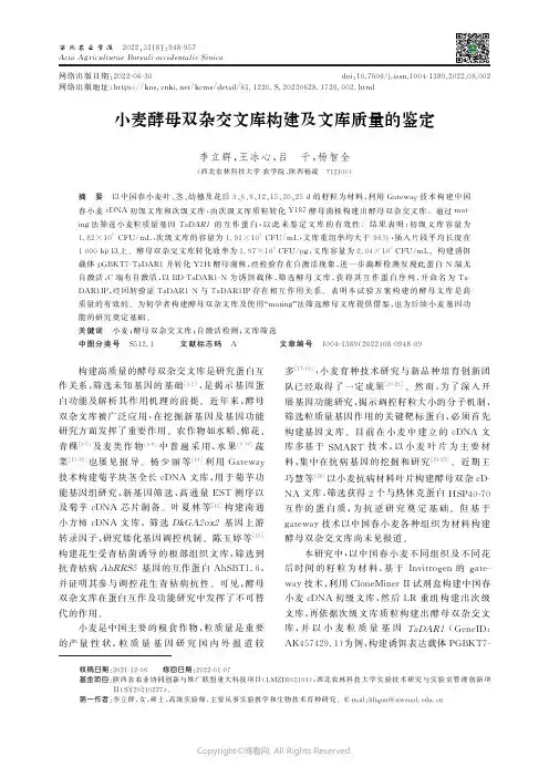 小麦酵母双杂交文库构建及文库质量的鉴定