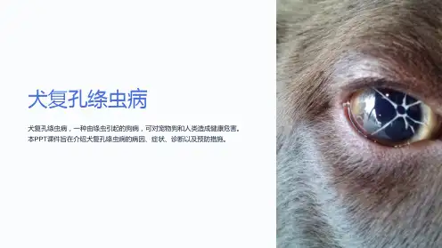 《犬复孔绦虫病》课件