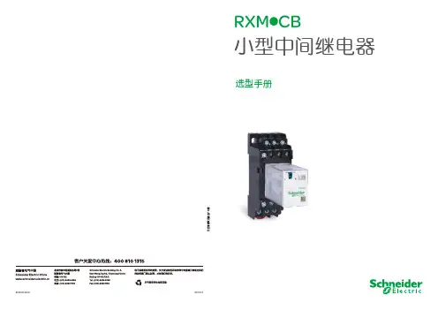 施耐德RXM中间继电器