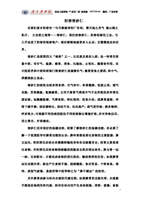 春砂仁