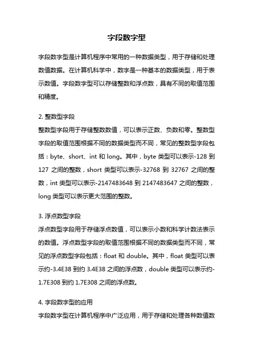 字段数字型