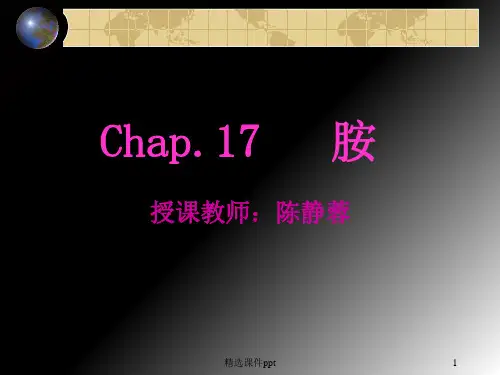 有机化学ppt课件第十七章
