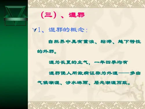 基础中医学：湿邪