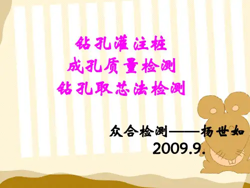 桩基检测钻芯法及测孔教材
