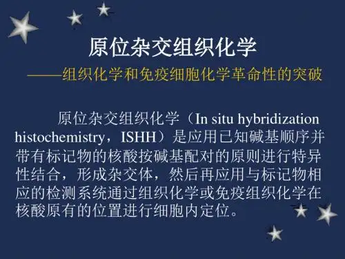 组织化学技术6-原位杂交