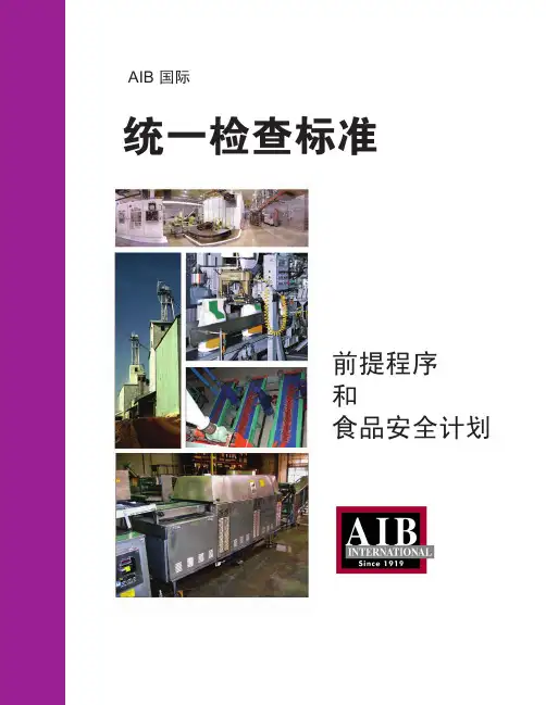 AIB标准 09中文版