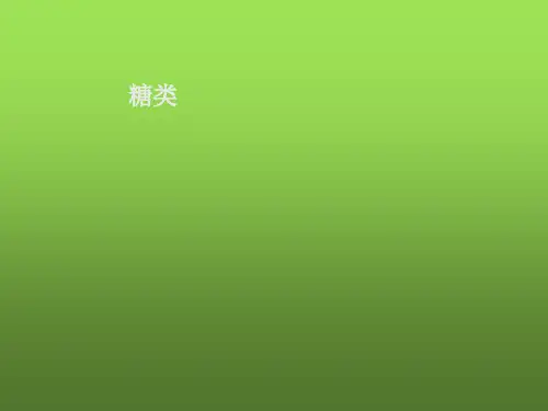 人教化学选修5第四章第二节   糖类(共15张PPT)