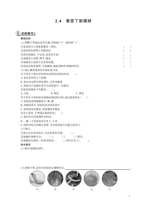 教科科学三年级下册2.4 蚕变了新模样同步练习.pdf