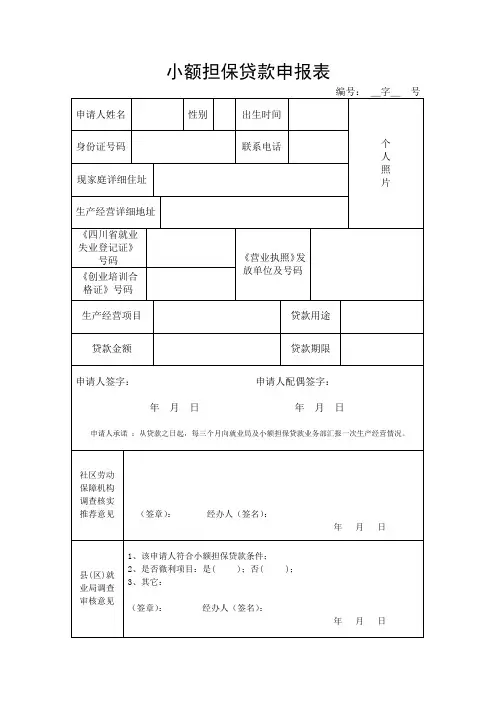 小额贷款申报表