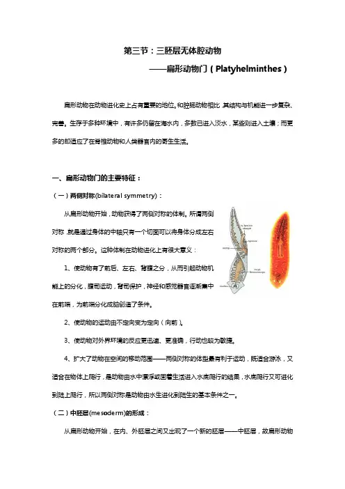 扁形动物门