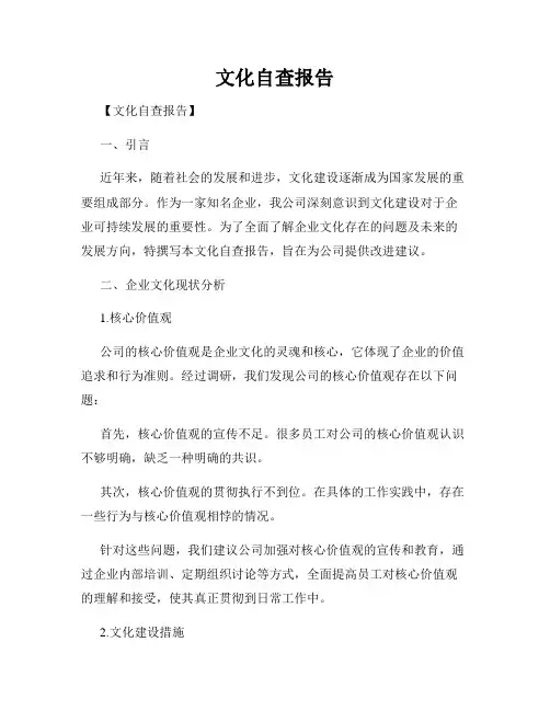 文化自查报告