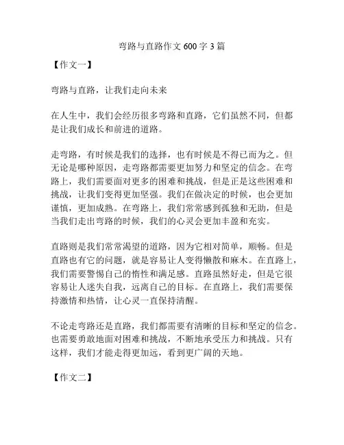 弯路与直路作文600字3篇