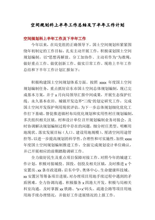 空间规划科上半年工作总结及下半年工作计划