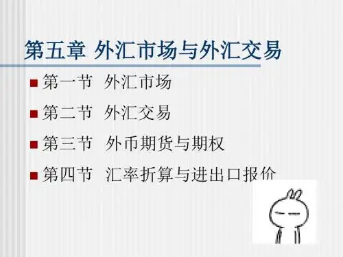 第五章 外汇市场与外汇交易-107页PPT精选文档