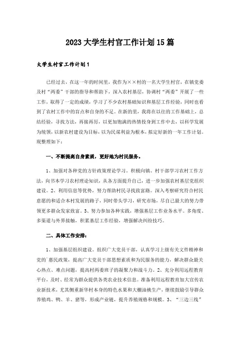 2023大学生村官工作计划15篇