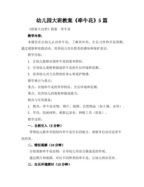 幼儿园大班教案《牵牛花》5篇