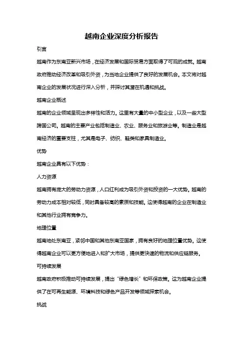 越南企业深度分析报告