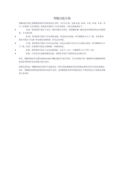 脊髓功能分级