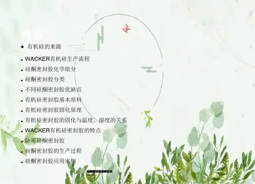 硅酮密封胶的基本知识-图文ppt课件.pptx