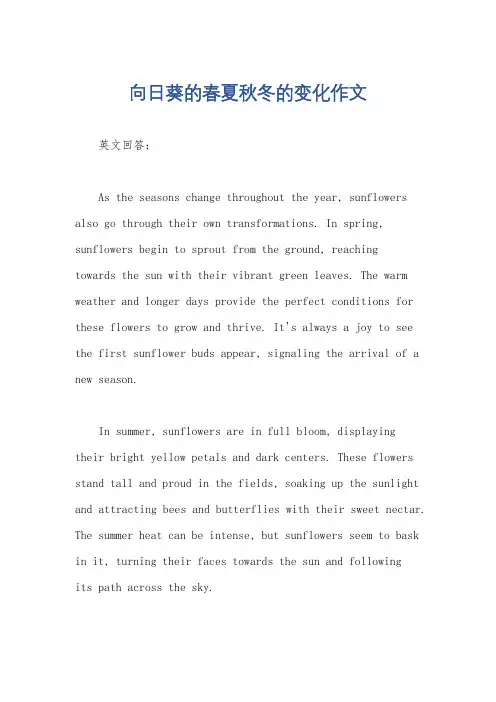 向日葵的春夏秋冬的变化作文