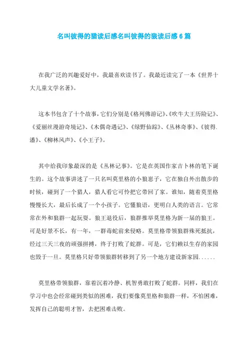 名叫彼得的猫读后感名叫彼得的狼读后感6篇