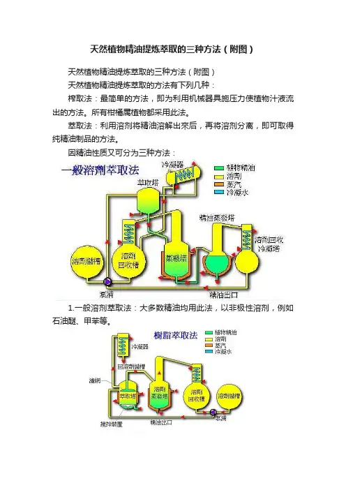 天然植物精油提炼萃取的三种方法（附图）