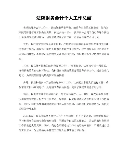 法院财务会计个人工作总结