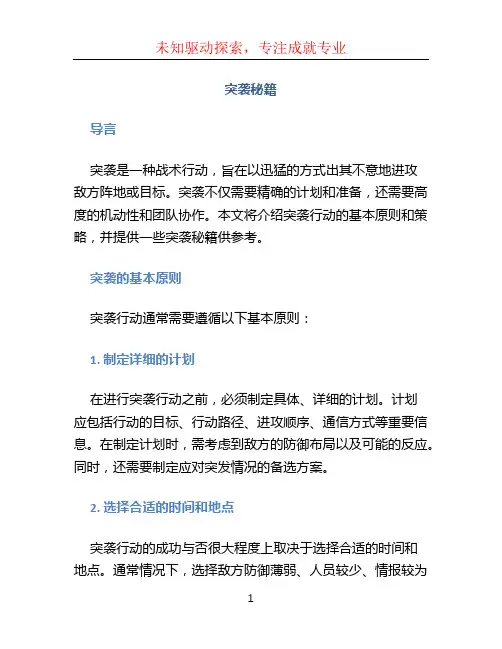 突袭秘籍文档