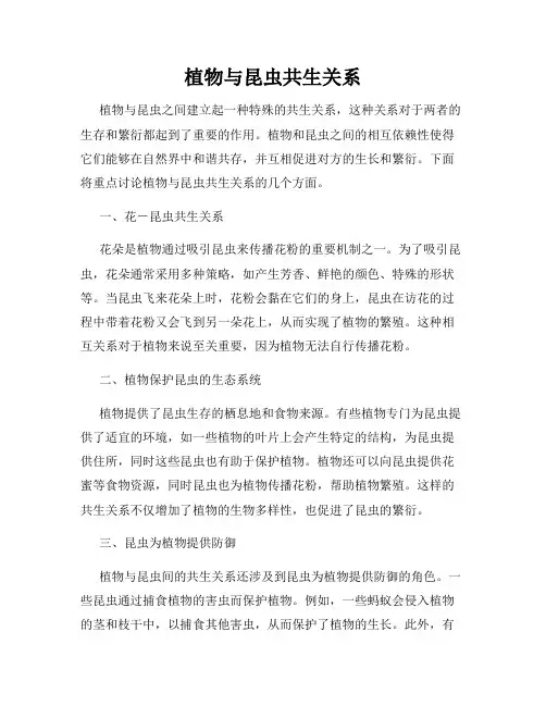 植物与昆虫共生关系