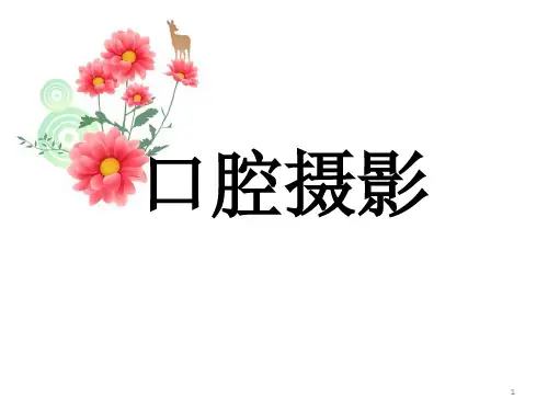 口腔摄影PPT演示课件