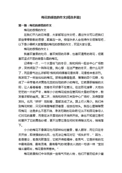 梅花的感悟的作文[精选多篇]